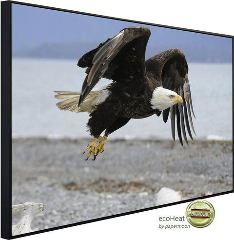 papermoon Infrarotheizung EcoHeat Weisskopfseeadler mit Matt-Effekt in Bunt, App-Steuerung und Überhitzungsschutz - Bild 1