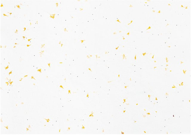 Rico Design Paper Poetry Bastelbogen Baumwollpapier mit Blüten in Weiß - Bild 1