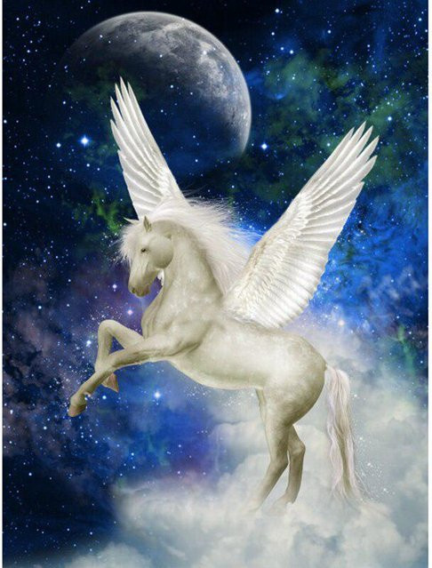 FIYO 5D DIY Diamant Stickerei Mondlicht Einhorn Diamant Malerei Kreuzstich in Grau, B/H: 20 x 30 cm - Bild 1