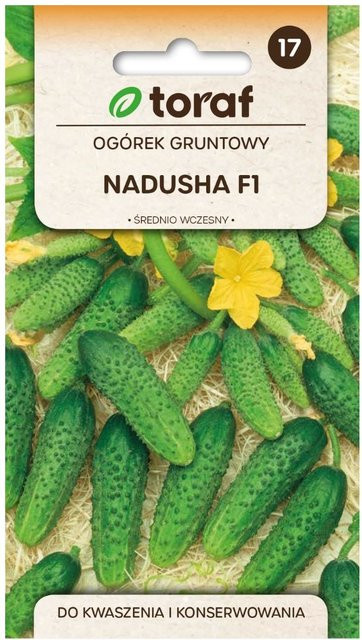 TORAF Nadusha F1 Gurkensamen, frühe und krankheitsresistente Sorte, 1 g - Bild 1