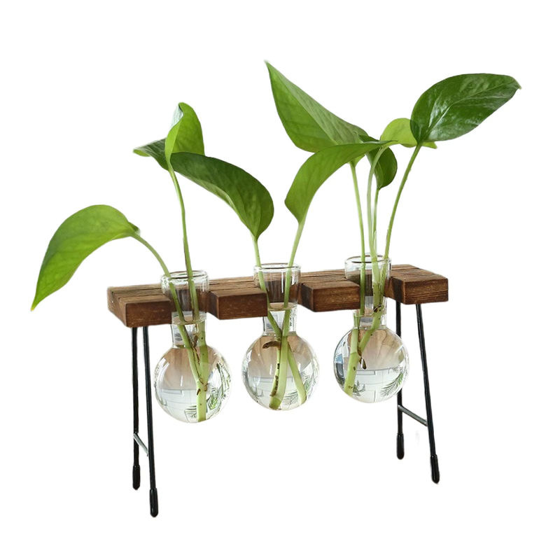 Homyl Hydroponische Glasvase für Tischdekoration, transparente Blumenvase für Wohnzimmer und Esstisch - Bild 2