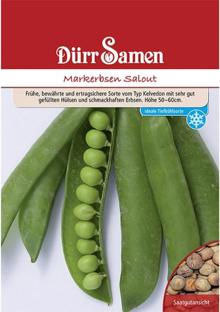 Dürr Markerbsen Salout Saatgut 250 g - Bild 1