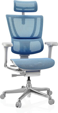hjh OFFICE Luxus Chefsessel ERGOHUMAN SLIM G GEN2 mit Netzstoff, Kopfstütze und Armlehnen, höhenverstellbar