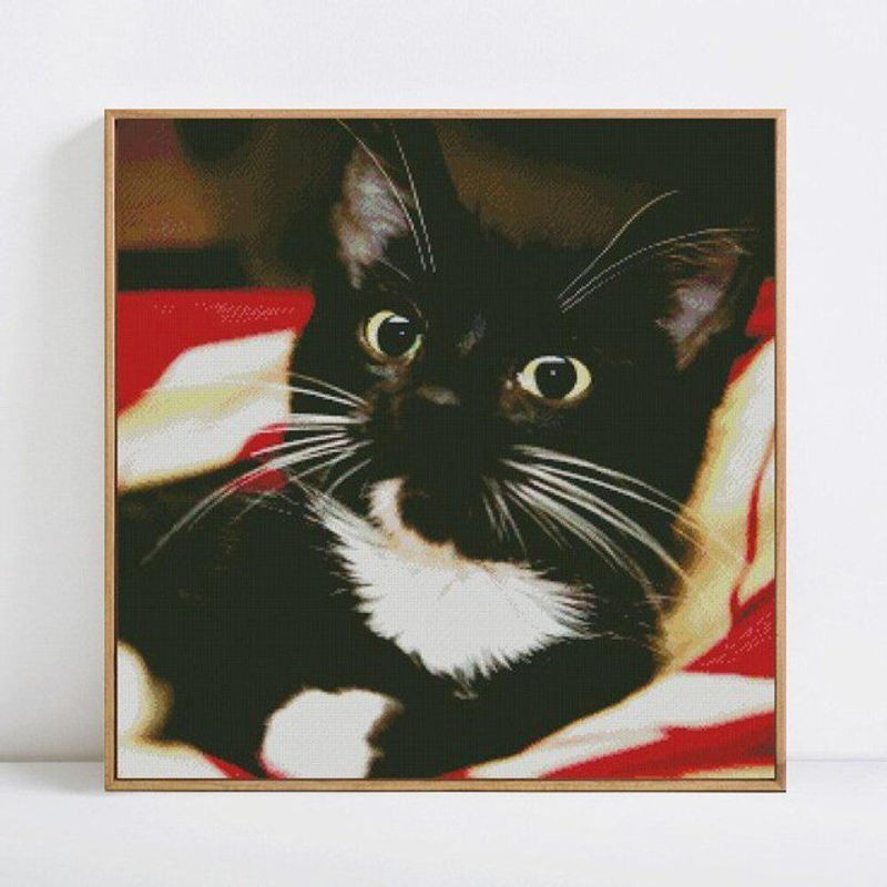 FIYO Diamond Painting Wanddeko Tierfoto mit Strasssteinen Schwarz B/H: 30 x 30 cm - Bild 1