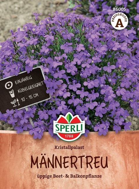 SPERLI Männertreu-Samen Kristallpalast in Blau - Bild 1