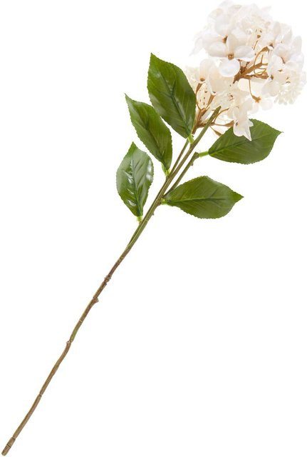 Künstliche Hortensie mit zwei Blüten in Cream und Elfenbein - Bild 1