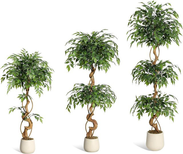 HiMISS Künstlicher Ficus-Baum mit gebogenen Stämmen und weißem Übertopf, Grün, Höhe: 120 cm - Bild 1