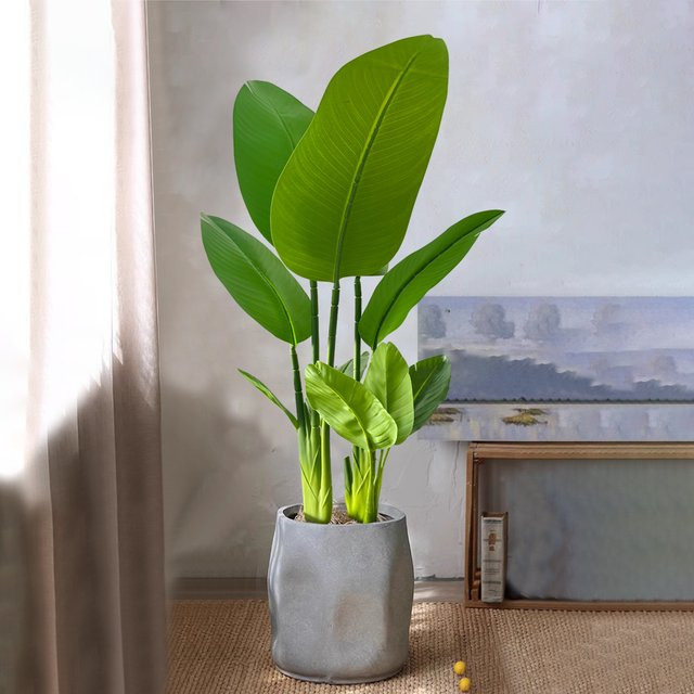 Künstliche Bananenpflanze Kmitang in Grün, tropische Reisepalme aus Kunststoff für Heim, Büro und Garten, Höhe: 77 cm, Breite: 37 cm - Bild 1