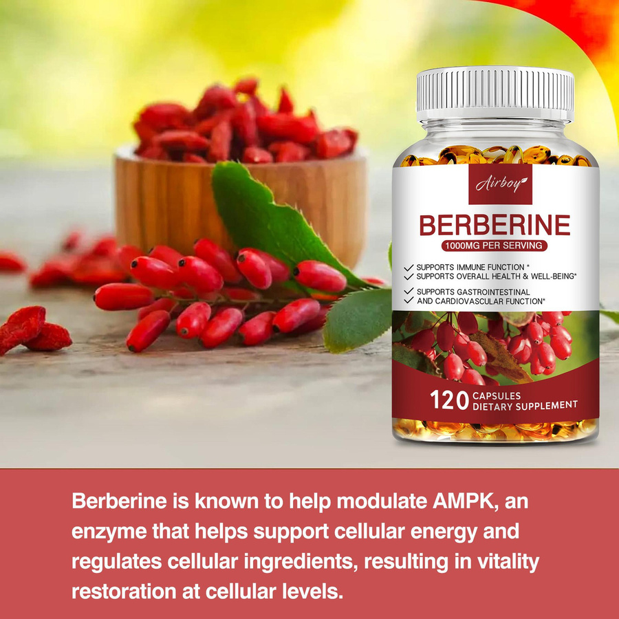 Airboy Premium Berberin, 1000 mg, 120 Kapseln, Unisex - Bild 4