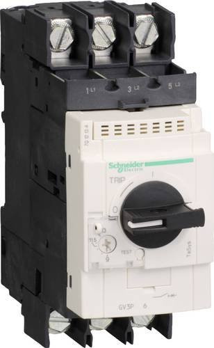 Schneider Electric GV3P406 Motorschutzschalter in Weiß - Bild 1