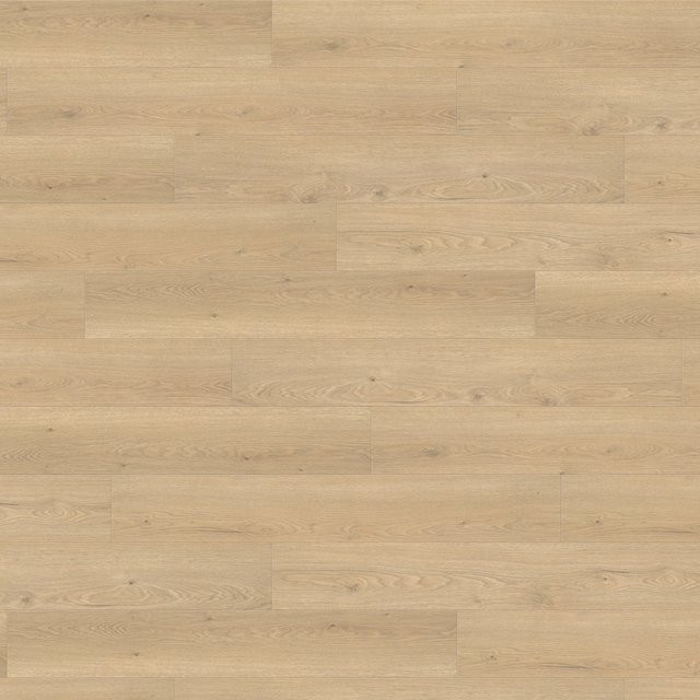 Haro Living by Haro Laminat Eiche Flavia Puro 8 mm Holzoptik in Beige und Braun - Bild 1