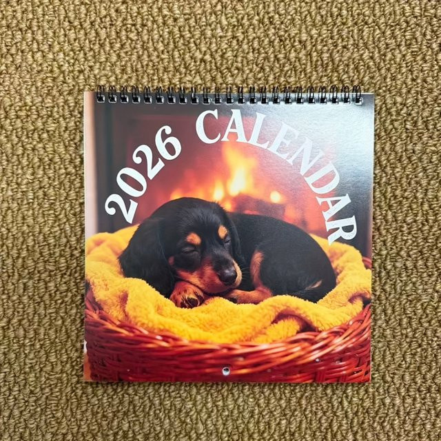 Wandkalender 2026 mit süßem Dackel-Design, 12-Monatsplaner in Mehrfarbig - Bild 1