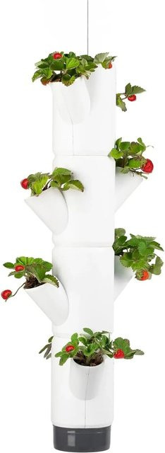 Gusta Garden Sissi Strawberry Erdbeerbaum Hochbeet System Hanging in Weiß - Bild 1
