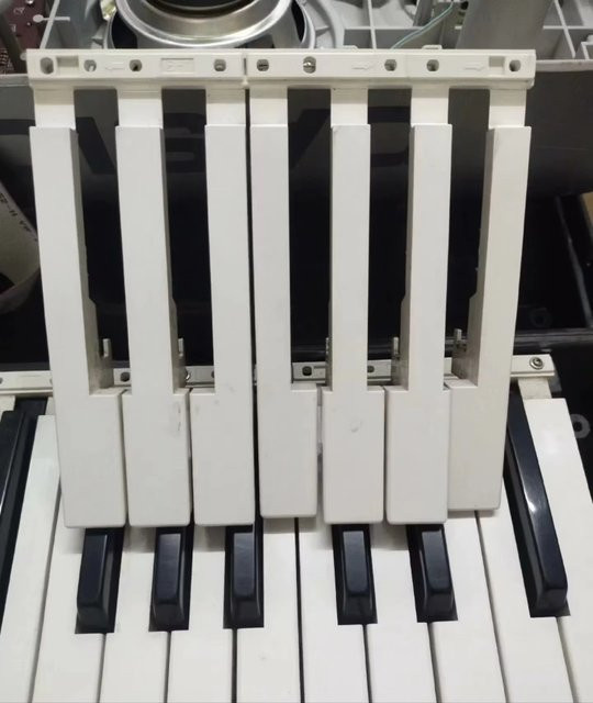 Ersatztastatur für Casio CTK-631, CTK-680 und CTK-691 in Weiß mit schwarzen Tasten - Bild 1
