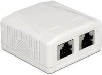 Delock Netzwerkdose Aufputz CAT 6a mit 2 Port RJ-45 Anschlussdose in Weiß - Bild 1