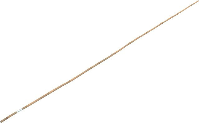 Bambusstab in Beige, Länge: 180 cm, Durchmesser: 1,2 cm - Bild 1