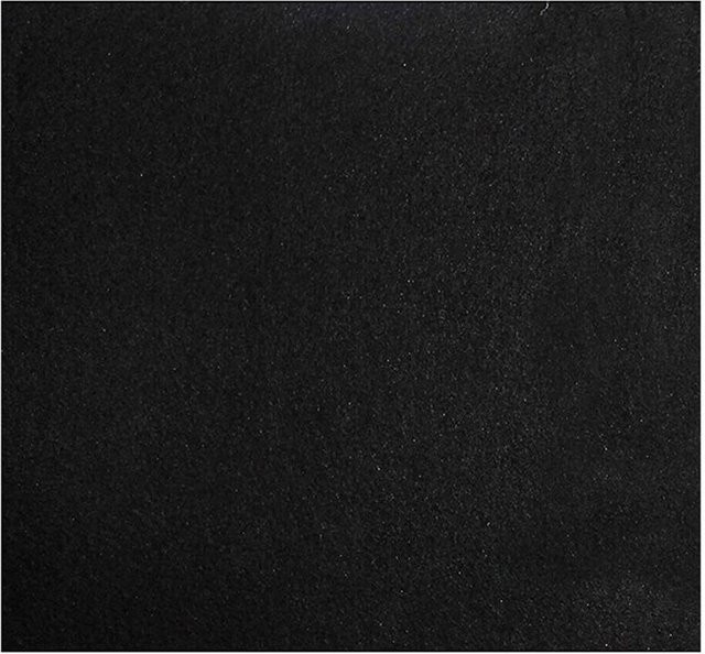 Zone is Home Aktivkohlefilter Schwarz für Dunstabzugshauben und Luftreinigung B: 100 cm, T: 100 cm, H: 1 cm - Bild 1