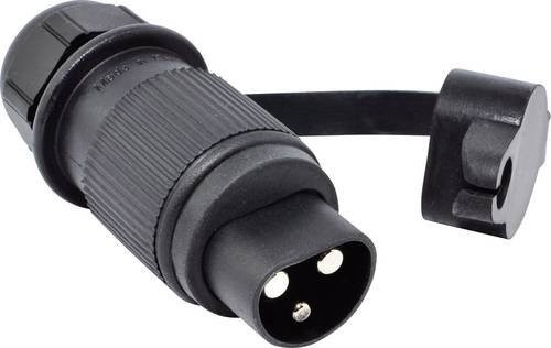 BAAS Startsystem BS20 Stecker Schwarz - Bild 1
