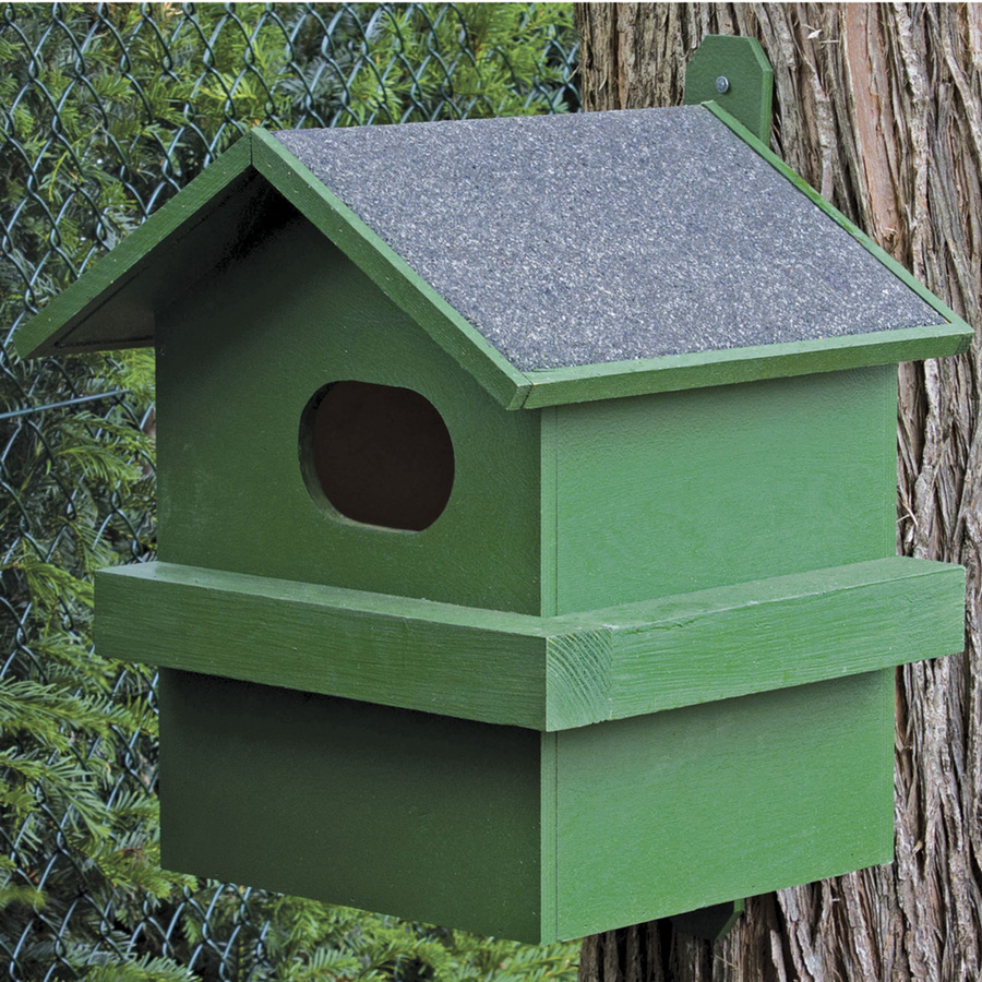 CJ Wildlife Eichhörnchen-Wohnhaus aus Holz in Grün - Bild 1