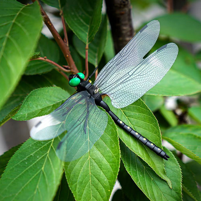 Realistische Libellen-Modelle als hängende Gartenornamente in Schwarz für Indoor und Outdoor - Bild 1