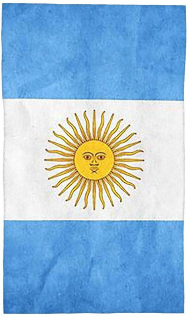 Saugfähiges Baumwollhandtuch mit Argentinien Flaggen-Design, Weiß, B: 40 cm, H: 60 cm - Bild 1