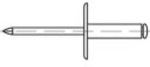 TOOLCRAFT 160313 Offene Blindniete aus Stahl, Durchmesser: 4,8 mm, Länge: 16 mm, 250 Stück, verzinkt - Bild 1