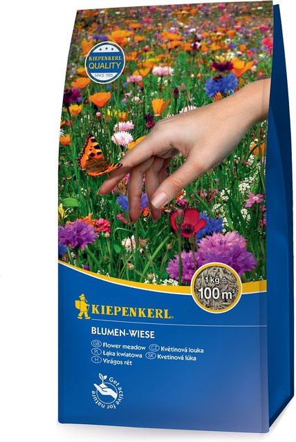 Kiepenkerl Blumensamen Blumen-Wiese bunt, 1 kg - Bild 1
