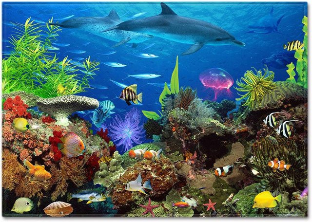 Karpetti Sea World Teppich mit 3D Delfinen und Haien in Blau, B/B: 80 x 50 cm - Bild 1