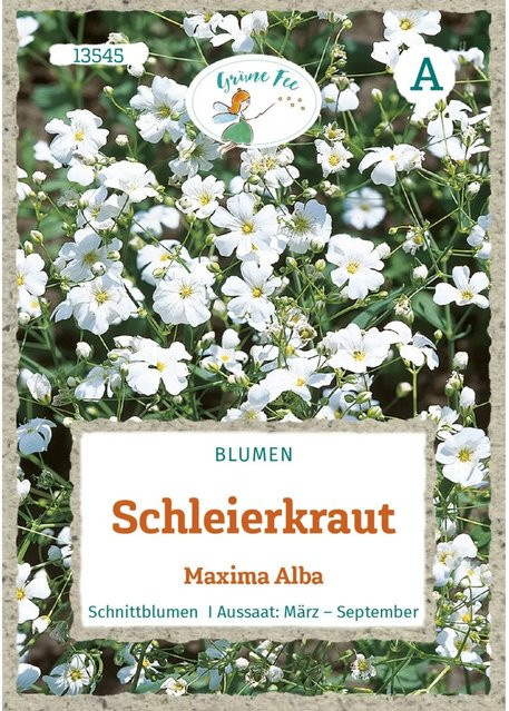 Grüne Fee Schleierkraut Maxima Alba Saatgut für Rabatten, Beete und Blumensträuße - Bild 1