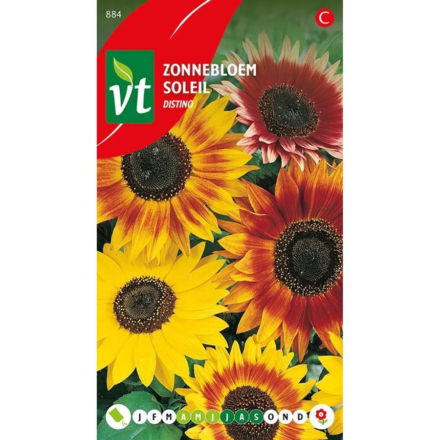 Arborix Sonnenblume Distino Samen für große Blüten mit ca. 1 g Füllmenge - Bild 2