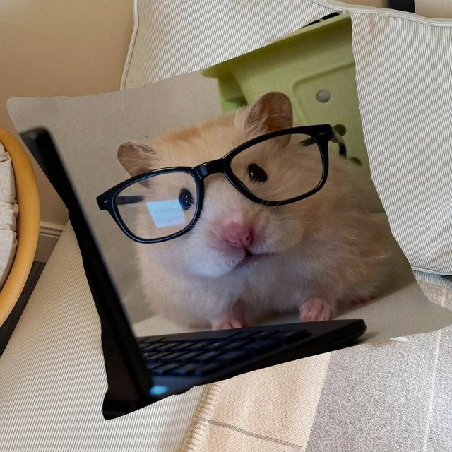 Dekorativer Kissenbezug mit lustigem traurigem Hamster Emoticon in Beige, B/H: 45 x 45 cm - Bild 1