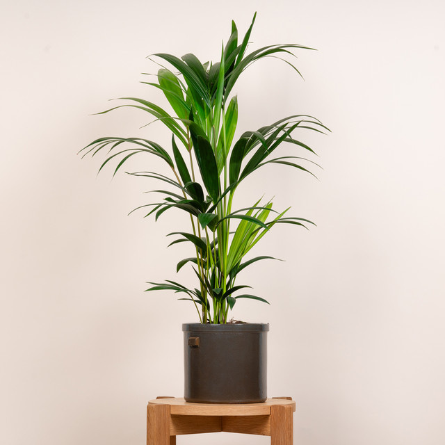 Keramik Übertopf mit Griff von BLUME2000 in Graublau, Höhe: 21 cm, Breite: 19 cm, Tiefe: 19 cm - Bild 1