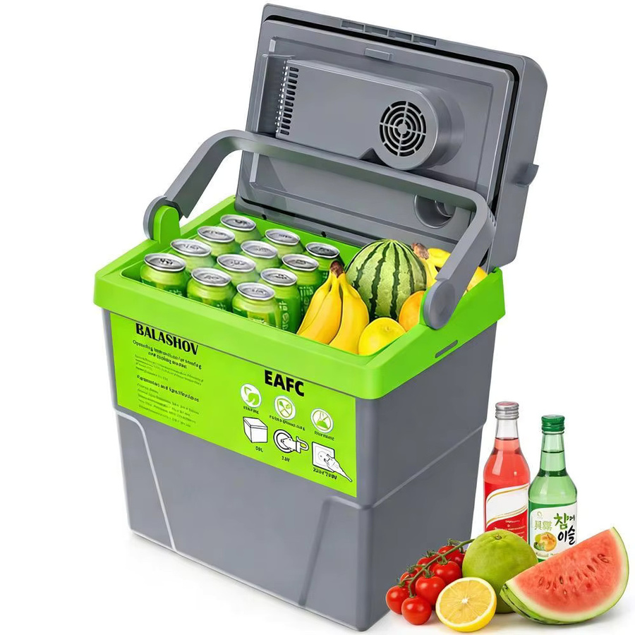 BALASHOV Mini-Kühlschrank 20L Tragbarer Dual-Use-Kühler für Zuhause, Make-up, Reisen und Auto mit 220V/12V Anschluss - Bild 7