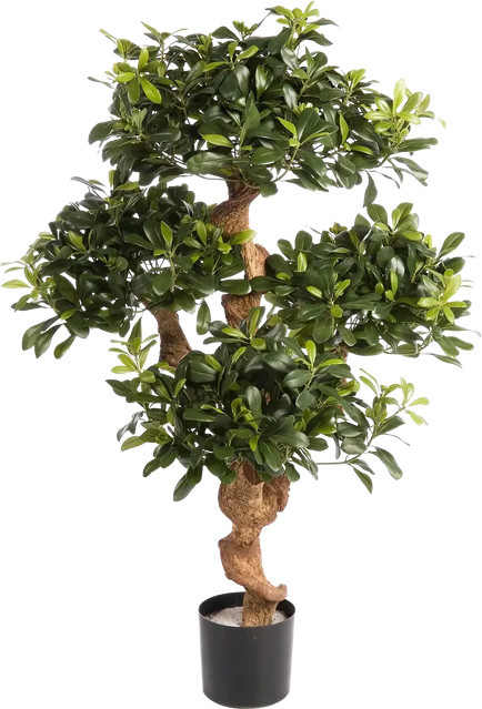 Künstlicher Pittosporum Pierre von Aplanta, Höhe: 120 cm, Grün - Bild 1