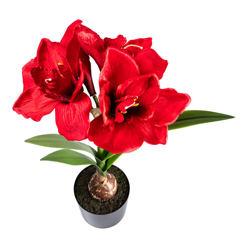 Kunstblume Amaryllis von viva domo in Rot und Grün zur Weihnachtsdekoration - Bild 2