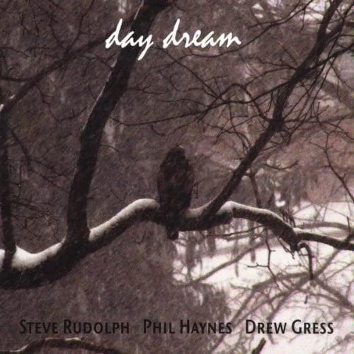 CD Tagtraum 1014 von Steve Rudolph & Haynes; Gress in Schwarz - Bild 1