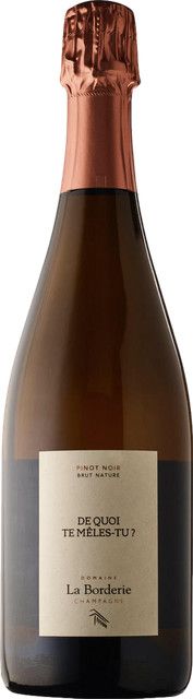 Domaine la Borderie Champagne Blanc de Noirs Extra Brut, Pinot Noir, Frankreich, 0,75 l - Bild 1