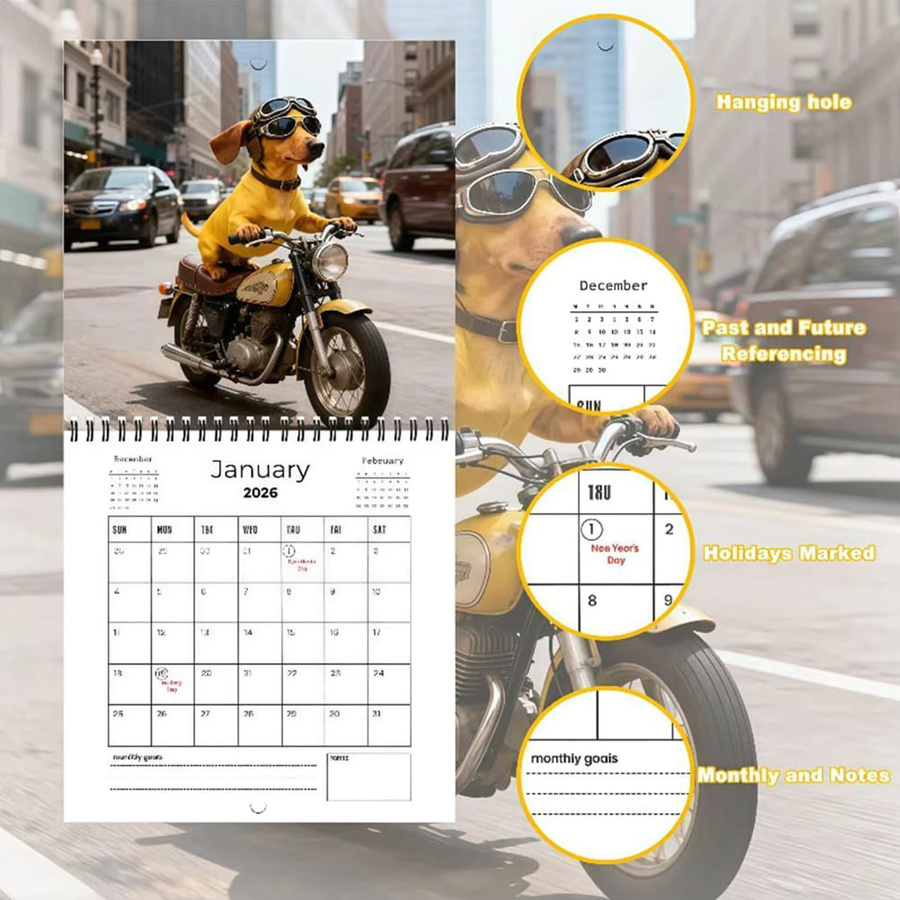 Wandkalender 2026 mit Dackel Motiv als 12-Monatsplaner in Mehrfarbig - Bild 4