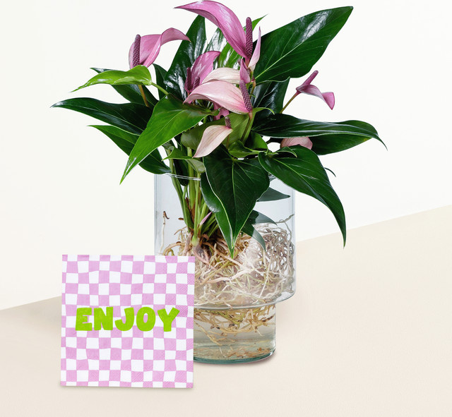 Blume2000 Vase mit Servietten Enjoy in Transparent, Pink und Multicolour aus Glas und Papier, Höhe: 35,0 cm - Bild 1