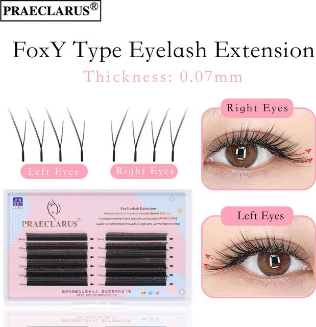 PRAECLARUS Fox Y-Typ Wimpernverlängerung, 0,07 mm, 9-14 mm, gemischt - Bild 1
