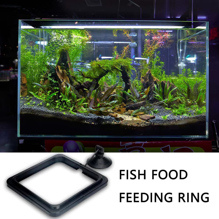 VAKIND Schwimmender Futterring für Aquarienfische in Schwarz - Bild 2