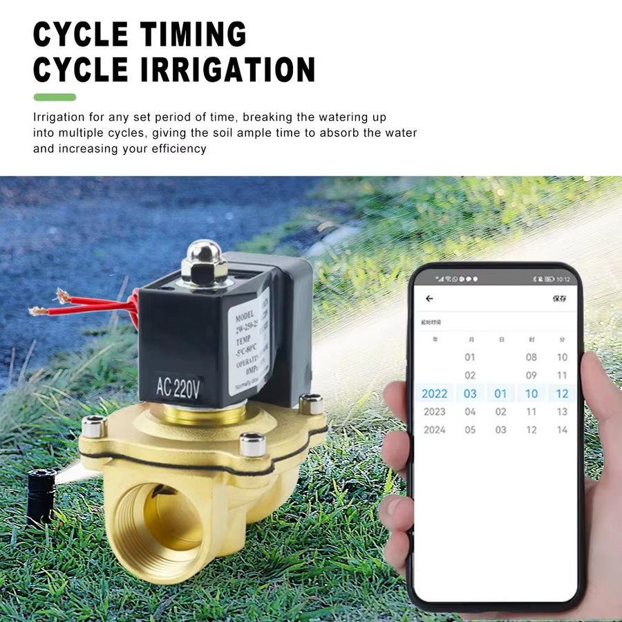 AICANTEK Tuya WiFi Smart Magnetventil Garten Wasser Timer Controller mit Alexa und Google Assistant Unterstützung, 1/2 Zoll, 3/4 Zoll, 1 Zoll, AC220V - Bild 4
