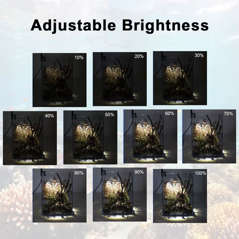 LZJV LED-Aquariumbeleuchtung für Pflanzenwachstum in Schwarz mit USB-Anschluss und Clip-On-Halterung - Bild 3
