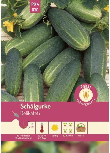 Pabst Keimkraft Schälgurke Früh & Mittellang Delikatesse Saatgut für den Freilandanbau - Bild 1