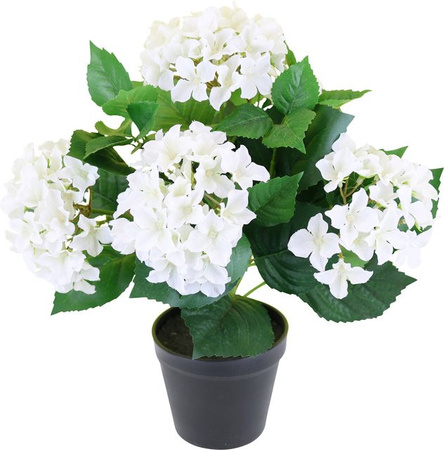 Künstliche Hortensie im Topf von MODERNE HAUSFRAU in Grün, Weiß und Schwarz