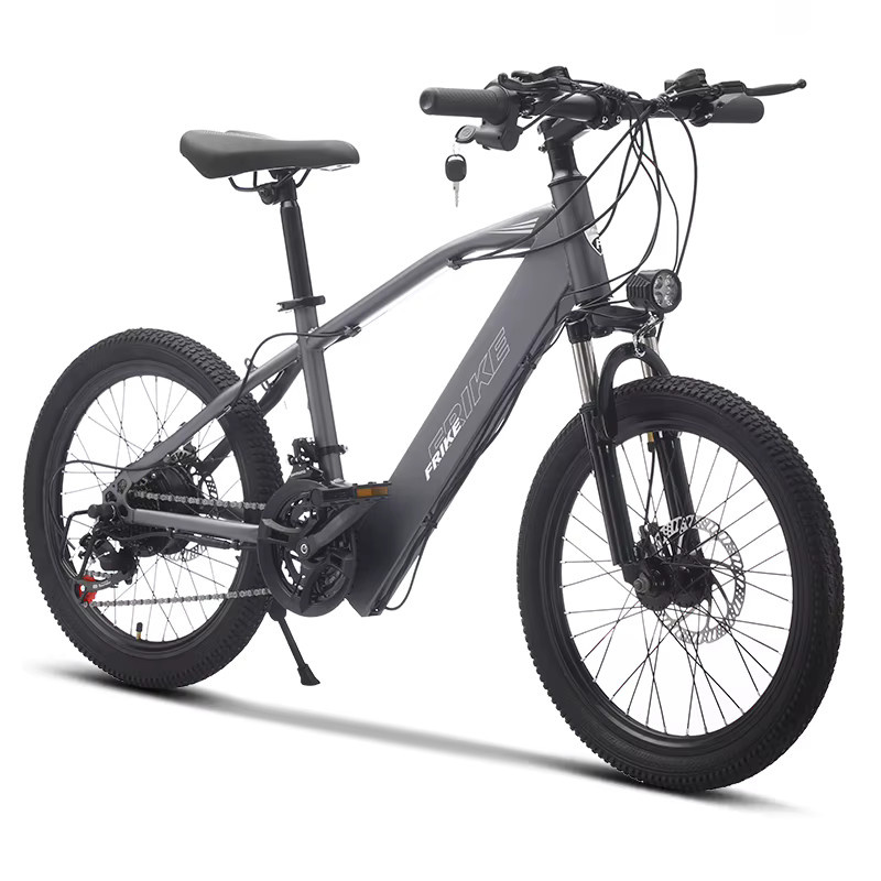 FRIKE Elektrisches Mountainbike Kinder, mit Licht - Bild 3