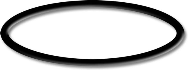 Sunsun O-Ring in Schwarz für 550W Schwimmbadpumpen und Poolfilteranlagen - Bild 1