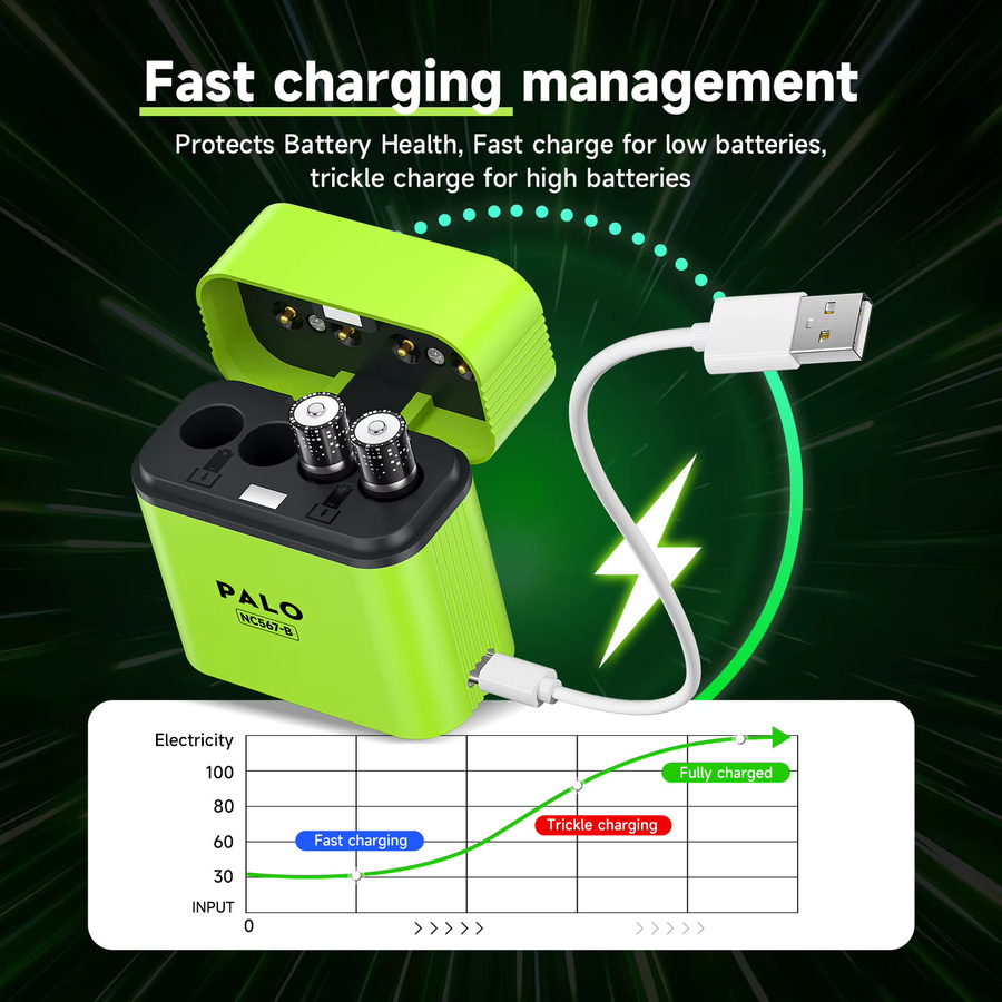 PALO Lithium-Akkuladegerät für 1,5V AA und AAA Batterien mit USB Typ-C Schnellladung und LED-Licht in Grün - Bild 4