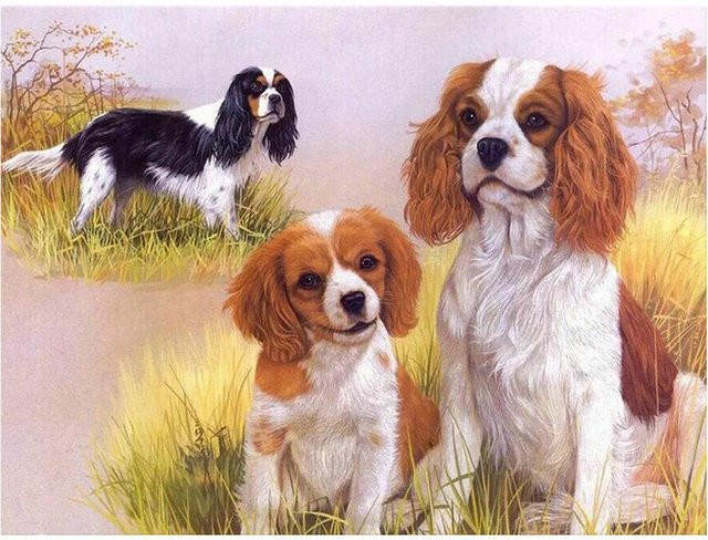 FIYO Diamond Painting Set Hund mit Strass Aufklebern in Beige und Multicolour, B/H: 20 x 30 cm - Bild 1