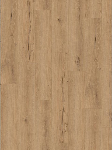 Parador Vinylboden Basic 5.3 Eiche Cambridge Natur in Braun mit Holzoptik und Click-System - Bild 1